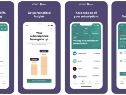 Mint Personal Finance Safe Securing Your Financial Future