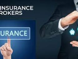 Insurance Broking Service