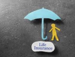 Life Insurance Means What