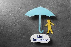 Life Insurance Means What