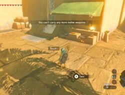 Fastest Way To Get Money In Zelda Breath Of The Wild