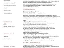 Finance Assistant Adalah