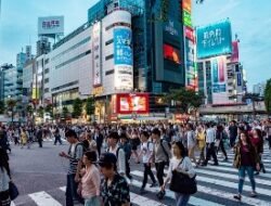 Insurance Premium Japan