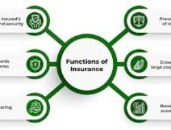 Insurance For Meaning