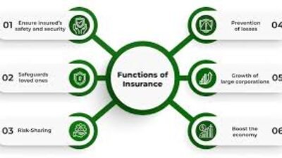 Insurance For Meaning