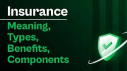 Insurance Meaning Benefits