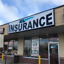 Insurance Xl Inc