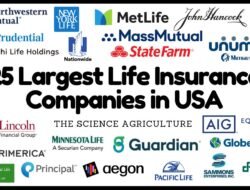 Insurance Company Is Usa