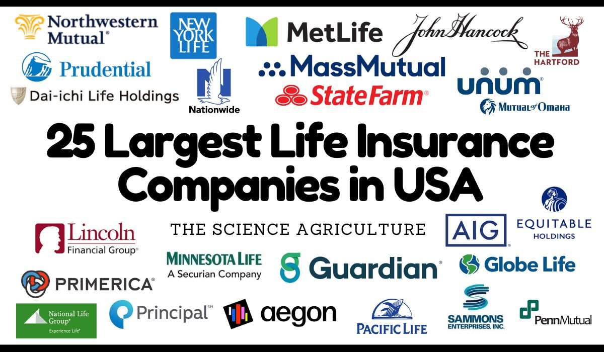 Insurance Company Is Usa