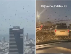Video! Ribuan Burung Gagak Terbang di Atas Tel Aviv Israel, Picu Ketakutan akan Terjadinya Malapetaka