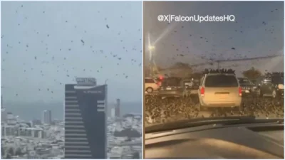 Video! Ribuan Burung Gagak Terbang di Atas Tel Aviv Israel, Picu Ketakutan akan Terjadinya Malapetaka