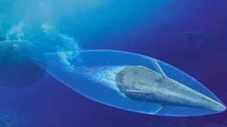 Inikah Rudal Bawah Laut Iran Berhulu Ledak 200 Kg yang Bikin Musuh Was-Was Ketakutan?