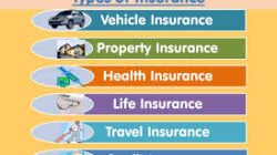 Insurance Company Types