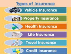 Insurance Company Types