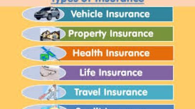Insurance Company Types