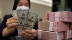 Peluang Usaha yang Tangguh dan Cuan Dalam Ancaman Nilai Tukar Dolar Tinggi