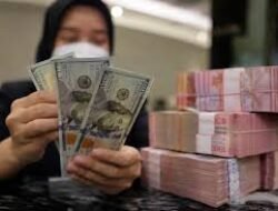 Peluang Usaha yang Tangguh dan Cuan Dalam Ancaman Nilai Tukar Dolar Tinggi