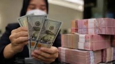Peluang Usaha yang Tangguh dan Cuan Dalam Ancaman Nilai Tukar Dolar Tinggi