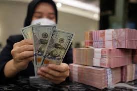 Peluang Usaha yang Tangguh dan Cuan Dalam Ancaman Nilai Tukar Dolar Tinggi