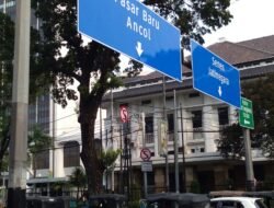 Tips dan Trik Memilih Asuransi yang Bagus untuk Mobil Pribadi Anda