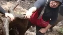 Viral! sang Ibu Rela Naik Gunung Dempo demi Lihat Makam Anaknya yang Wafat saat Mendaki
