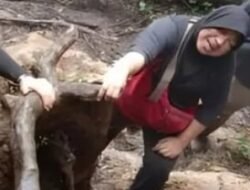 Viral! sang Ibu Rela Naik Gunung Dempo demi Lihat Makam Anaknya yang Wafat saat Mendaki