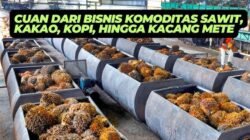 Tips dan Trik Strategi Bisnis Komoditas Terbaru Tahun 2026