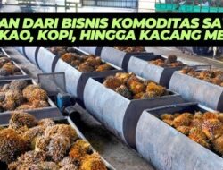 Tips dan Trik Strategi Bisnis Komoditas Terbaru Tahun 2026