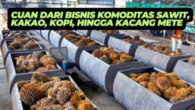 Tips dan Trik Strategi Bisnis Komoditas Terbaru Tahun 2026