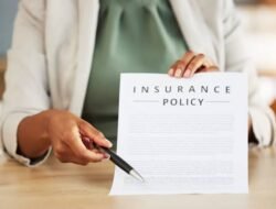 Insurance Provider Meaning